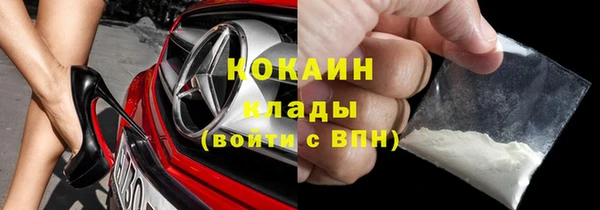 стаф Алексин