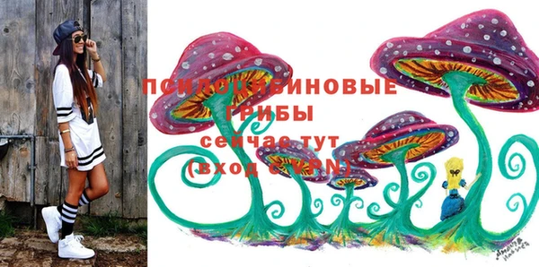 стаф Алексин