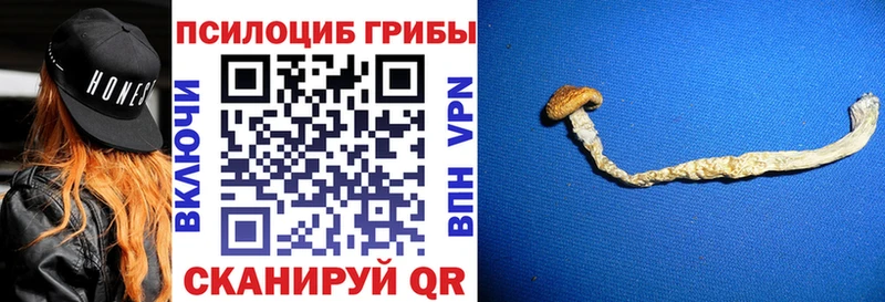 Псилоцибиновые грибы мицелий  Южно-Сухокумск 